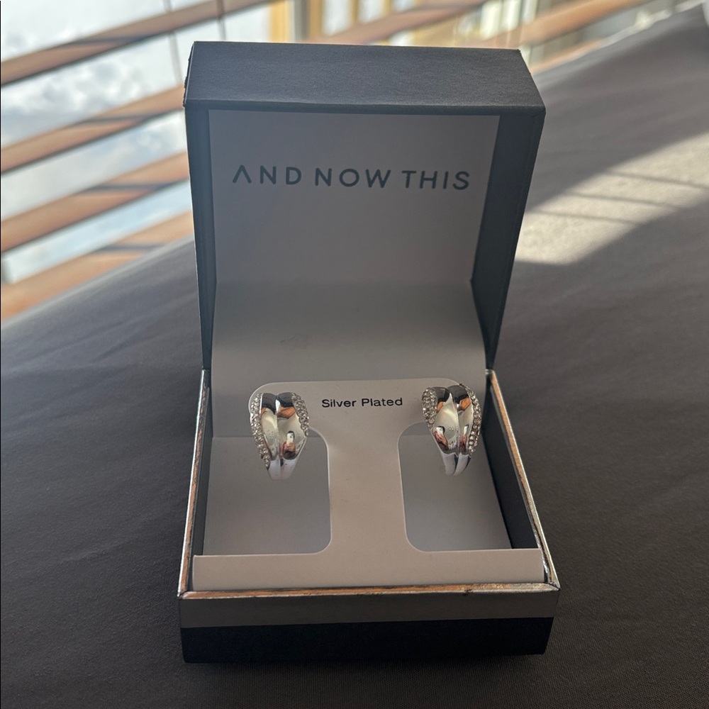 And Now This Silver Plated Earrings